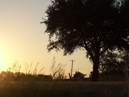 Sunset Tree - lake, street, sun, water, road, power, nature, tree, grass, line