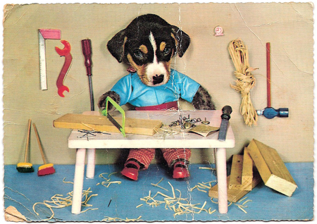 Tool Dog - carpenter, table, workshop, postcard, puppy, antique