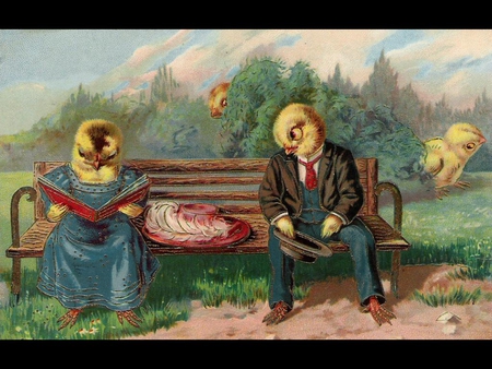 Courting Chicks - bench, chickens, date, love