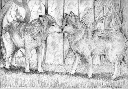 the two mates - rawr, drawing, wolf mates, grr, wolves