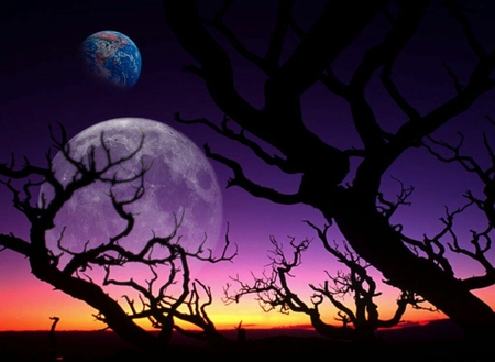 Digital Art - tree, art, digital, moons