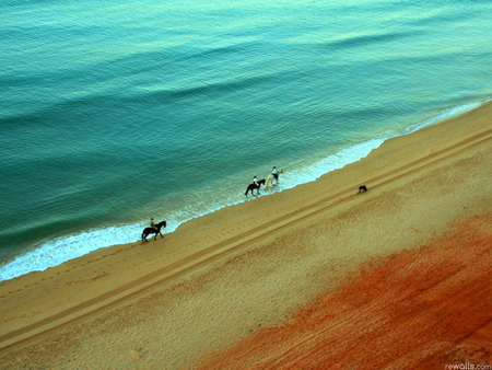 Horses runing by the beach - sand, run, horse, sea, nature