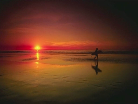 Sunset - nature, beach, sunset, man