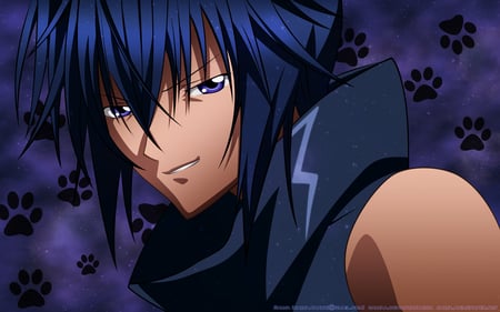 ikuto - awesome, blackcat, eru, ikuto