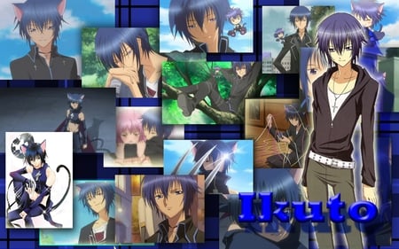 ikuto - anime, ikuto, egg, tranform, shugo chara