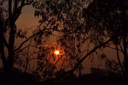 Red Aussie sun - sunset, hot, red, sun