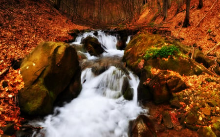 Autumn - autumn colors, splendor, stream, grass, forest, leaves, view, woods, carpet, trees, water, beautiful, beauty, colors, lovely, stones, tree, carpet of leaves, fall, river, nature, autumn, autumn leaves, peaceful, bridge