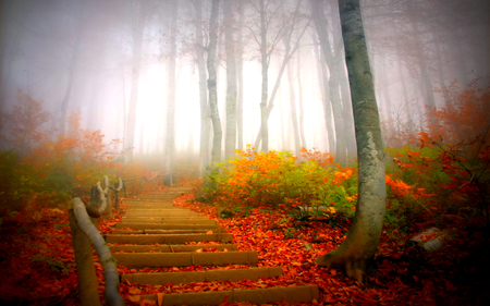 Autumn - stairs, carpet, magic, colorful, carpet of leaves, view, foggi, grass, mornig, landscape, way, park, nature, woods, forest, beautiful, leaves, beauty, autumn, trees, peaceful, autumn leaves, foggy, path, mist, fall, pretty, tree, lovely, autumn colors, red, splendor, fog, misty