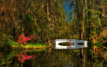 Simply Beautiful - pretty, magic, romantic, splendor, landscape, grass, romance, reflection, flowers, view, lake, sky, trees, water, beautiful, beauty, colors, lovely, tree, colorful, white, nature, green, peaceful, bridge, park