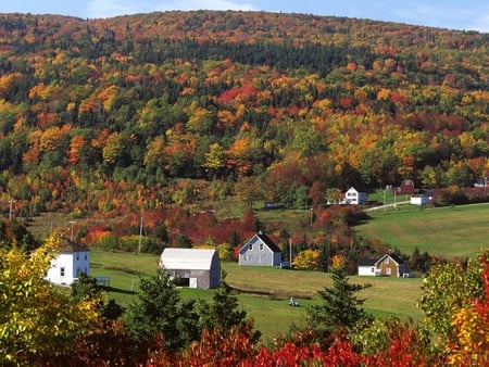 A Canadian Farm - farm, road, canada, tree, barn, mountain