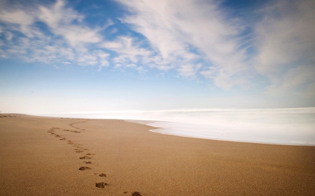 Beach - sky, ocean, beach, landscape, heaven, nature, clouds, blue, sea, sand