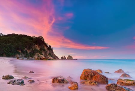 Summer - nature, summer, beach, sea