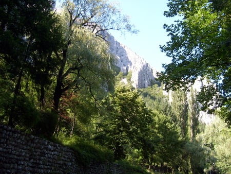 Nice - pretty, trees, summer, stonewall, photography, forest, photo, mountain, nature, green, bulgaria, rocks