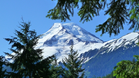 Beauty of Mount Baker - evergreen, mount baker, trees, volcano, snow, pacific northwest, washington, sky