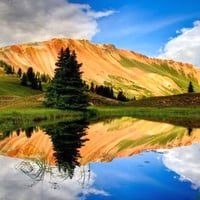 Beautiful Reflection