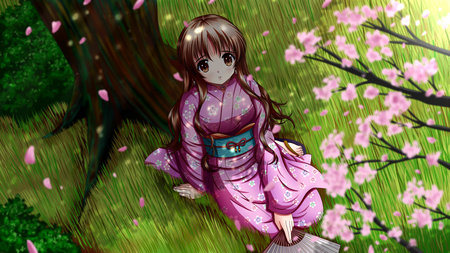 Anime girl - sexy, girl, scenic, hot, lovely, cherry blossom, petals, kimono, cute