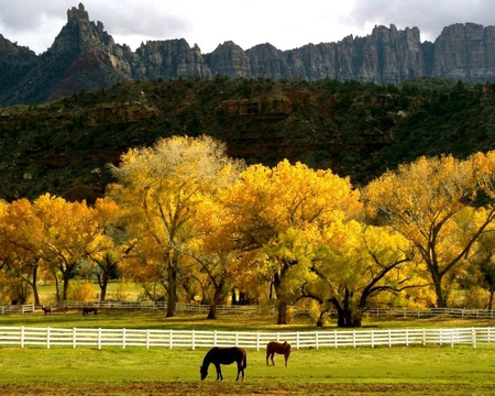 autumn - trees, nature, yellow, horses, autumn, golden, mountains, fence