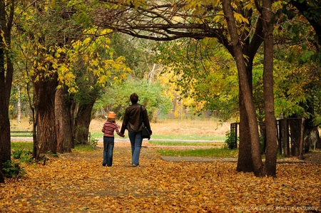 walk - woman, nature, autumn, trees, walk, child