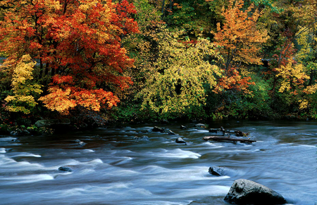 blue river - river, nature, blue, autumn