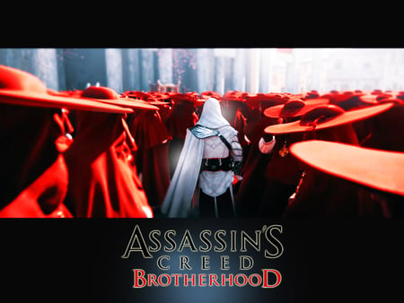 Assassins Creed Brotherhood - game, assassins, brotherhood, video, creed