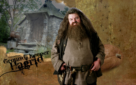 Hagrid - rtgh, wr, rth, erg, efegerg