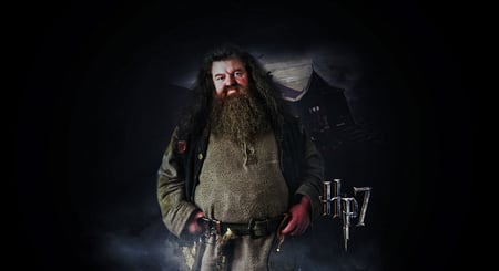 Rubeus Hagrid - awegt, qea, 4tr, qeg, grew, 4rgewst, fwef