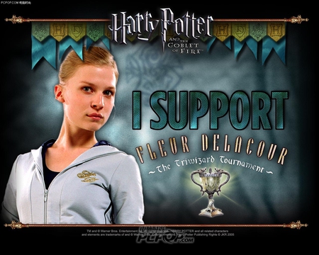 Harry Potter Fleur Delacour - yhrgdf, rtsyh, rdgerdg, yhtrd, rtyhrt, f