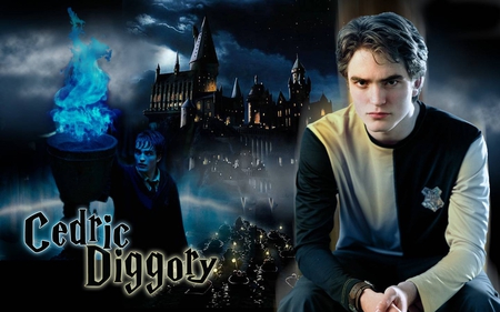 Cedric Diggory - rfghrf, dfgverg, ger, erhgb, q