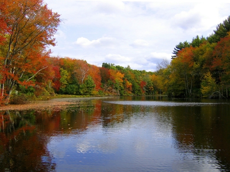 Autumn lake - lake, forest, path, tree, nature, autumn