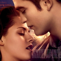 the twilight saga breaking dawn