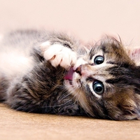 I am cuteeeee.....