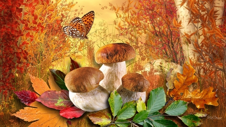 When Autumn Calls - season, mushrooms, autumn, trees, butterfly, fall, orange, leaves, grass, firefox persona, toadstools