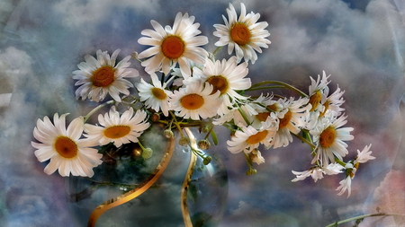 Daisies - beauty, beautiful flowers, photography, peace, daisy, still life, vase, ribbon, flowers, daisies, comfort