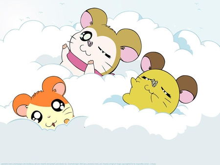 Hamtaro - cute, hamtaro, hamsters, hamster