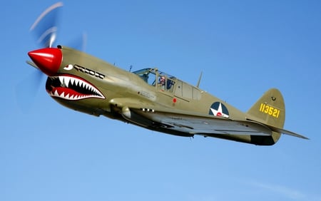 P-40 Warhawk - warhawk, ww2, plane, airplane, p-40, tigers, flying, wwii, kittyhawk, p40, curtiss