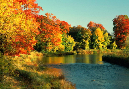 Lake with red trees.    Canada - blue water, maple trees, lake, river, red trees