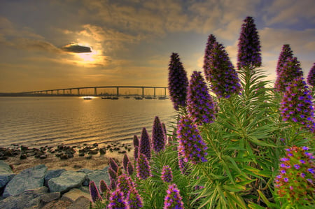 Sunset-HDR - pretty, scenery, beach, landscape, romance, reflection, flowers, view, hdr, nice, sky, sun, clouds, water, beautiful, photography, sea, yachts, beauty, colors, lovely, cool, ocean, flower, stones, boats, nature, sunset, bridge