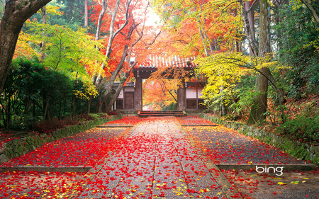 A great place in Japan - garden, parks, nature, scenery