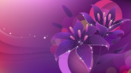 Lily Vector - pollens, dazzling, colorful, art, purple, lily, pretty, cool, petals, curve, splendid, lilies, magnificent, vector, lovely, sparkle, of, the, charm, 3d, blue, pink, beautiful, sweet, flowers, colors