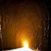 Way to Light