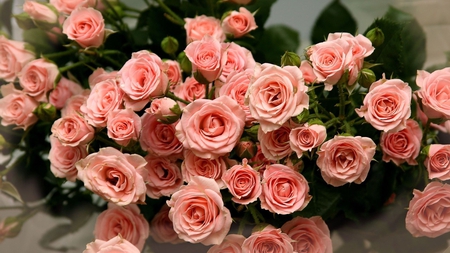 Beautiful Roses - roses, bouquet, peach, beautiful