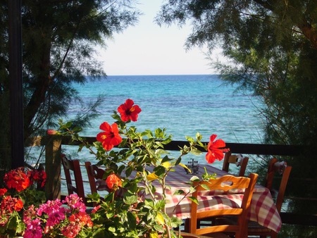 tavern - chalkidiki, greece, view, flowers, sea, nature