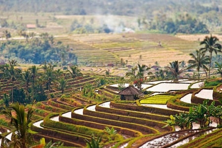 High Fields - picture, cool, high, fields