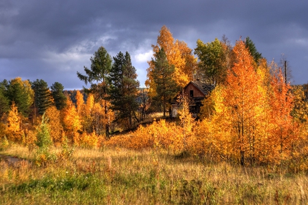 Autumn - russia, ukhta, photo, autumn