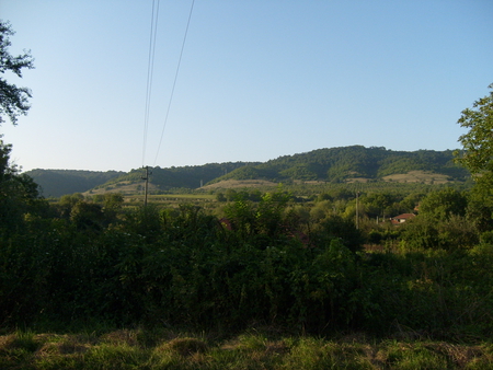 Dobrodan - trees, summer, photography, photo, mountain, village, nature, green, sky, bulgaria