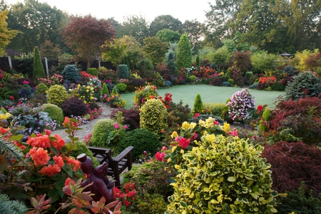 October - nature, october, home, japanese garden