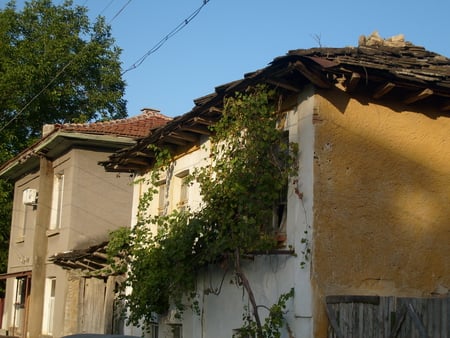 old house - photo, village, old, architecture, nice, photography, house, bulgaria, green