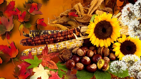 Season of Summer Ending - sunflowers, dandelion, firefox persona, fluff, leaves, fall, autumn, bright, chesnuts, indian corn, color