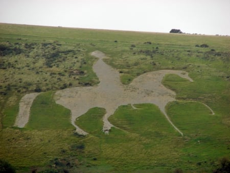 White Horse On The Hillside - white, england, hillside, horse, location