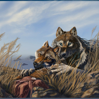 the last of the summer light